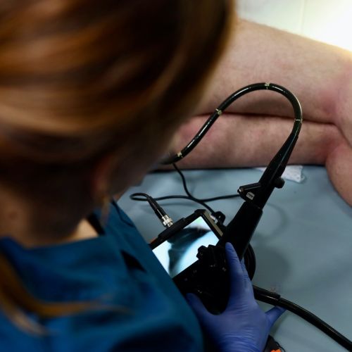 Galeriebild 3 von Dr. Loona