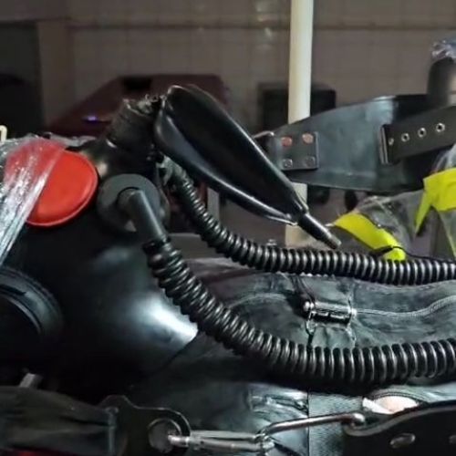 Galeriebild 7 von Medical Dreams