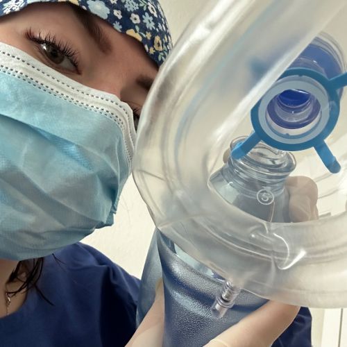 Galeriebild 2 von Dr. Loona