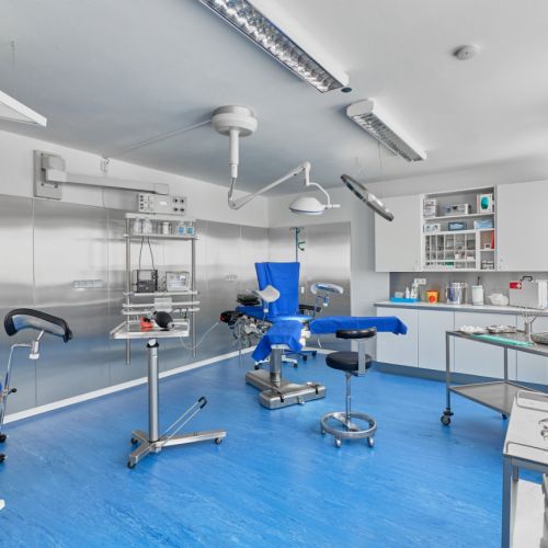 Galeriebild 4 von Fetisch Klinik Dresden