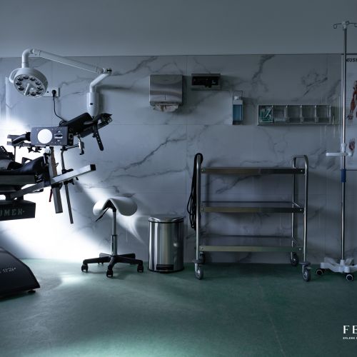 Galeriebild 8 von Fetish Farm