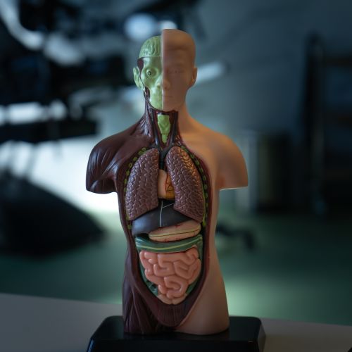 Galeriebild 3 von Fetish Farm